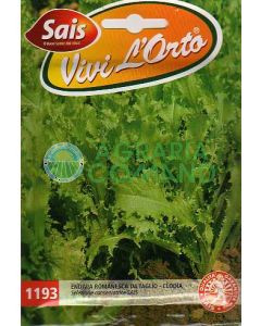 INDIVIA ROMANESCA DA TAGLIO - CLODIA