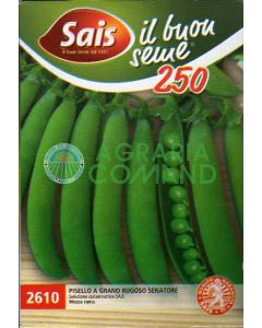 PISELLO A GRANO RUGOSO SENATORE (1/2 RAMA )250G.