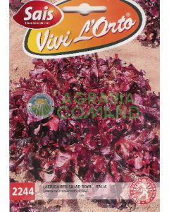 lattuga Red Salad Bowl 