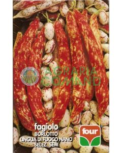 Fagiolo borlotto nano Sem