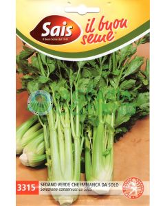 Seme sedano che imbianca da solo