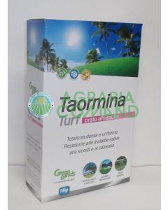 Taormina seme per tappeto erboso
