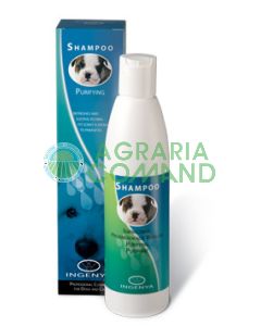 INGENYA SHAMPOO IGIENIZZANTE ML.250