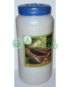 Bottiglia micelio fresco Shii Take