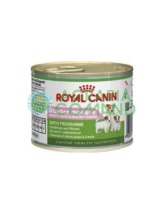 STARTER MOUSSE MOTHER & BABYDOG GR.195 ROYAL STARTER MOUSSE MOTHER & BABYDOG GR.195 ROYAL