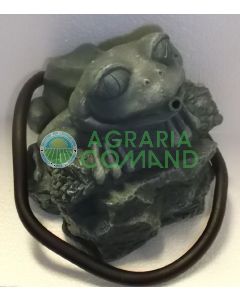 Statua rana grossi occhi