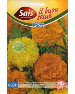 Tagete alta doppia in miscuglio