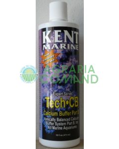 KENT TECH CBB   474 ML.