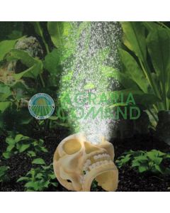 ARIO COLOR BIANCO CON TESCHIO