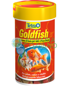 Tetra Goldfish fiocci