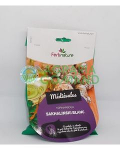 Topinambur rizoma bianco