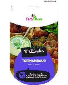 Topinambur tubero da seme Topinambur tubero da seme