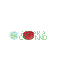 Ugello di ricambio per micronizzatore M3000 Volpi