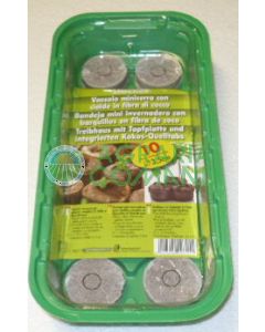 MINISERRA CON CIALDE IN FIBRA DI COCCO   (10 cialde)