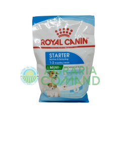 Mini Starter Mother & Babydog kg 1 crocchette Royal Canin