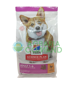 hill's_alimento_per_cani_adulti_di_piccola_taglia hill's_alimento_per_cani_adulti_di_piccola_taglia