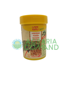 Raffy I Sera tartarughe acquatiche 14 grammi