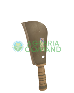 Coltellaccio Rinaldi PADOVA