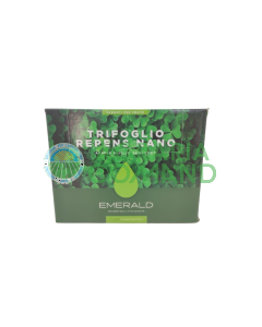 Semi per prato TRIFOGLIO REPENS NANO TurfInnovation 500 gr