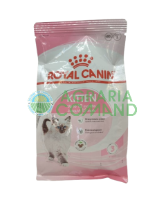 KITTEN Crocchette gatto Royal Canin