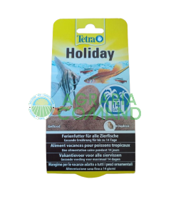 Tetra Holiday acquario