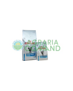 HYPOALLERGENIC Gatto crocchette royal canin