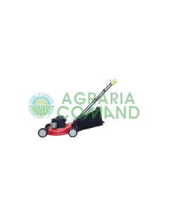 mtd rasaerba a scoppio