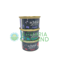 schesir after dark 80 gr gatto