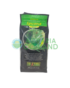 iguana adult exo terra