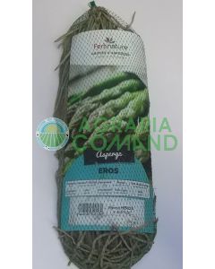 Asparago Eros