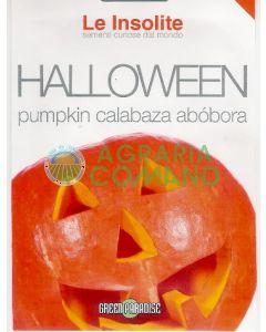 ZUCCA HALLOWEEN