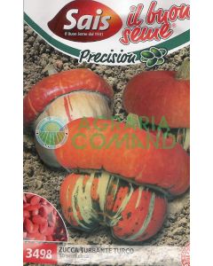 Zucca Turbante Turco Zucca Turbante Turco