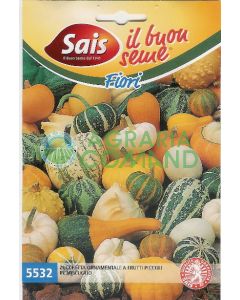 Zucchetta ornamentale a frutti piccoli mix