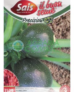 SEME ZUCCHINO EIGHT BALL  F.1     40 semi circa