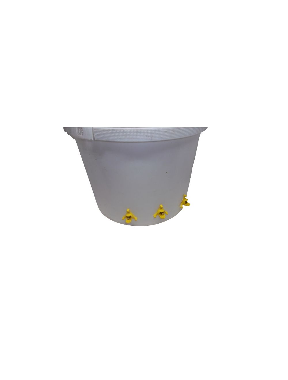 Abbeveratoi yellow su recipiente
