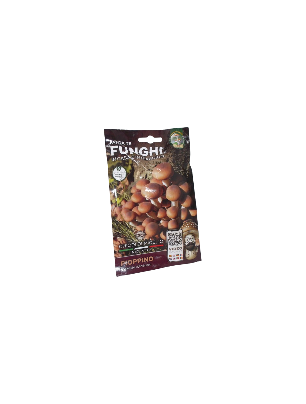 Chiodi micelio pioppino Funghi Mara Chiodi micelio pioppino Funghi Mara