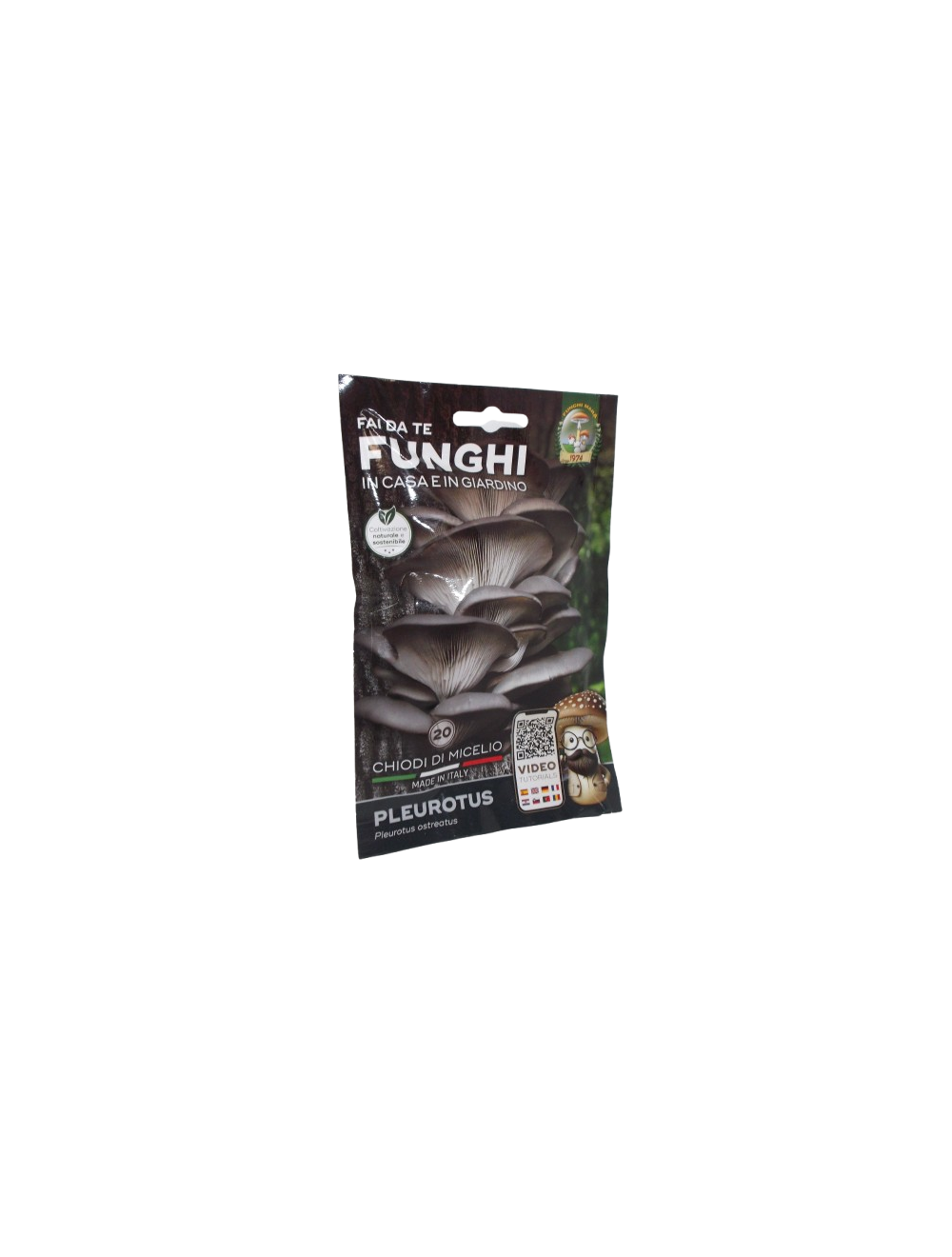 Chiodi micelio Pleurotus funghi Mara Chiodi micelio Pleurotus funghi Mara