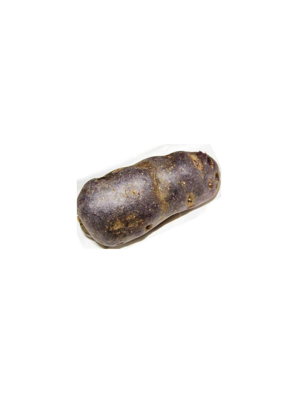 patata da seme bergerac