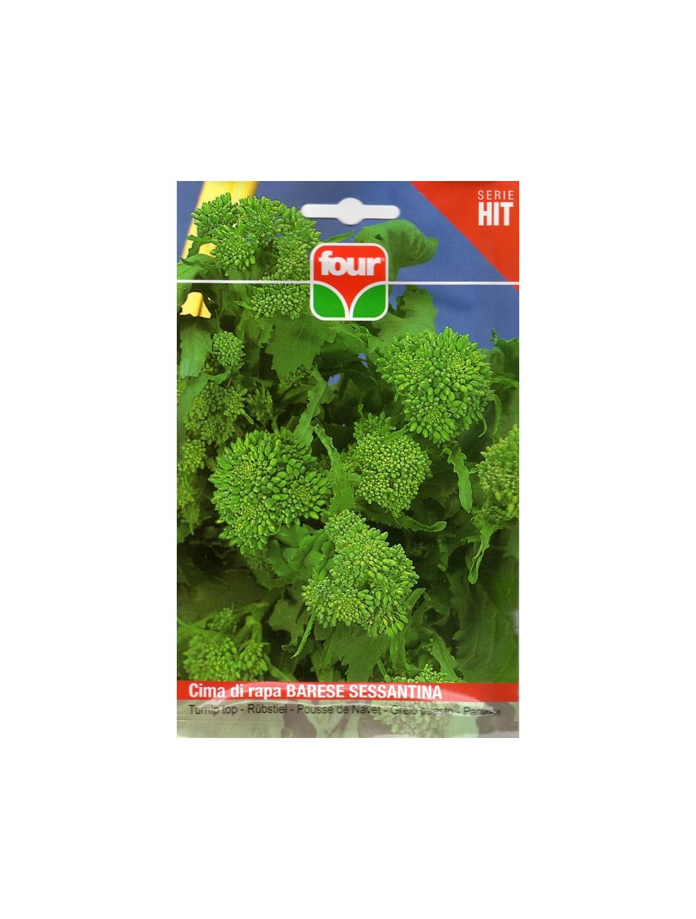 Seme di cima di rapa Barese Sessantina