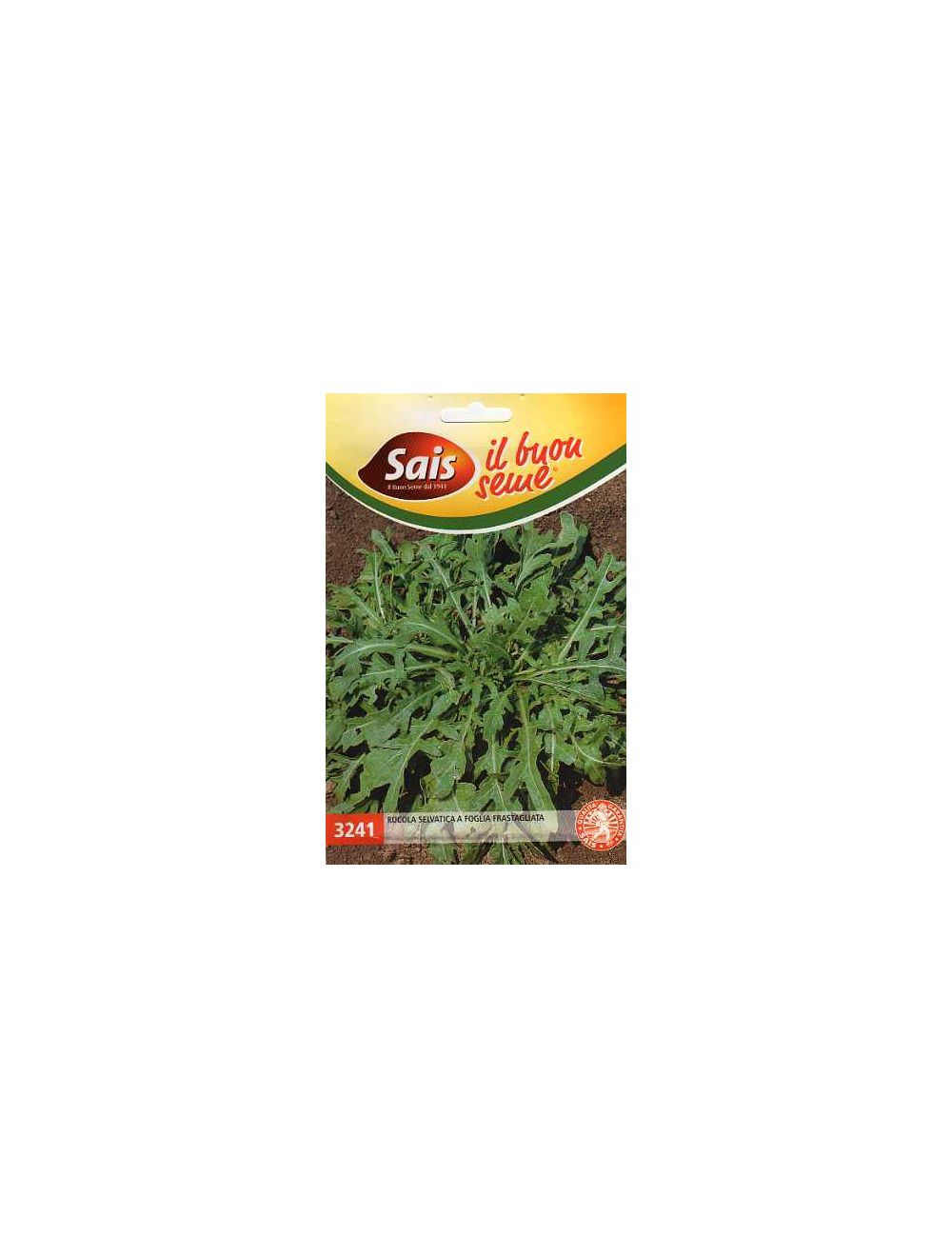 Rucola selvatica Rucola selvatica