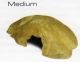 REPTIL CAVES MEDIUM