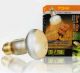 lampada-intense-basking-spot-75-watt