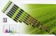 REPTI GLO 5.0/T8 TROPICAL TERRARIUM LAMP 24