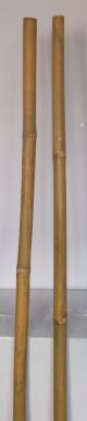 Tutore canna in bamboo