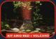 KIT ARIO COLOR RED DEC.VOLCANO