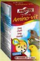 AMINOVIT CANTO 15 ML.