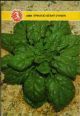 SPINACIO GEANT D'HIVER  GR.100