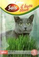 Erba_gatto_da_seme