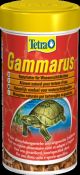 Tetra-gammarus-gamberetti