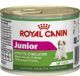 ROYAL CANIN MINI JUNIOR UMIDO GR.195